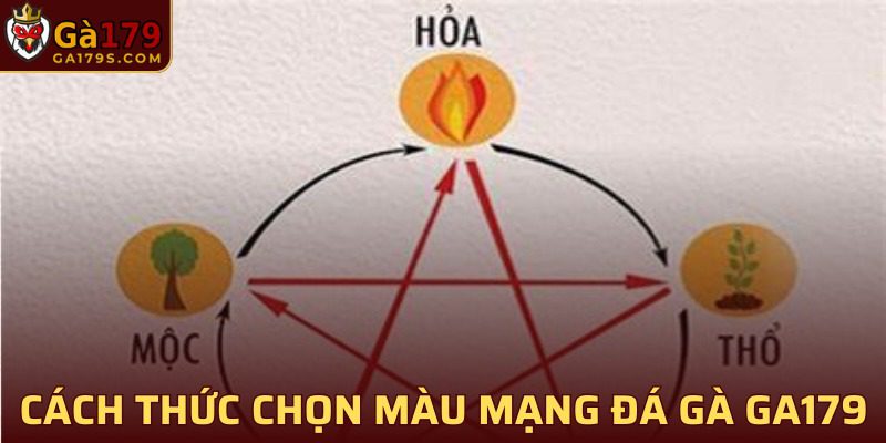 Bật mí với sư kê về cách chọn màu mạng đá gà tương sinh