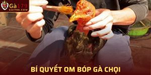 Bí Quyết Om Bóp Gà Chọi