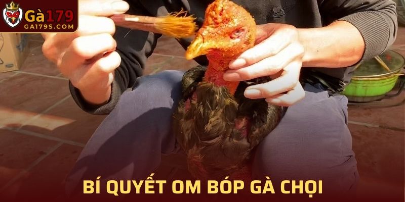 Bí Quyết Om Bóp Gà Chọi