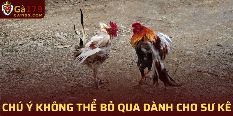 Chú ý không thể bỏ qua dành cho sư kê