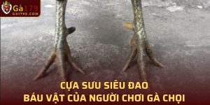 Cựa Sưu Siêu Đao