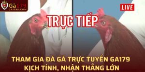 Đá gà trực tuyến