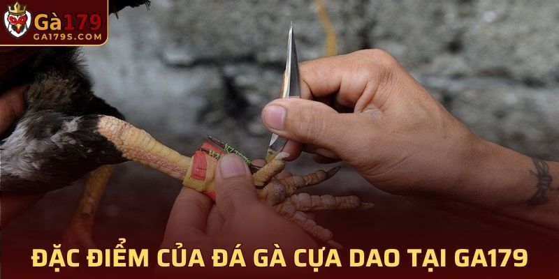 Đặc điểm của đá gà cựa dao tại GA179