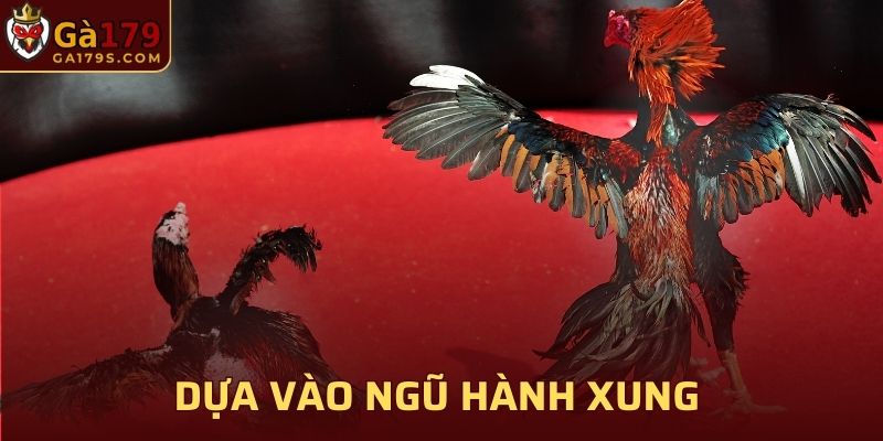 Dựa vào ngũ hành xung để lựa chọn thời gian