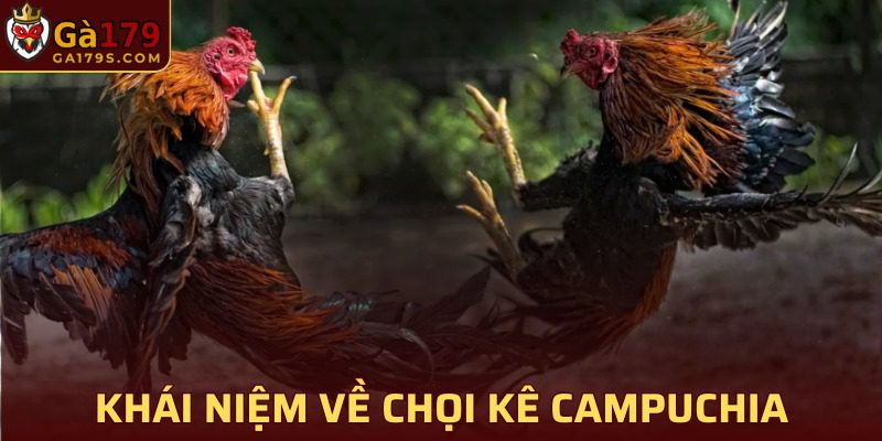 Khái quát về đá gà campuchia tại GA179