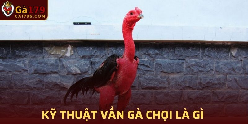 Kỹ Thuật Vần Gà Chọi