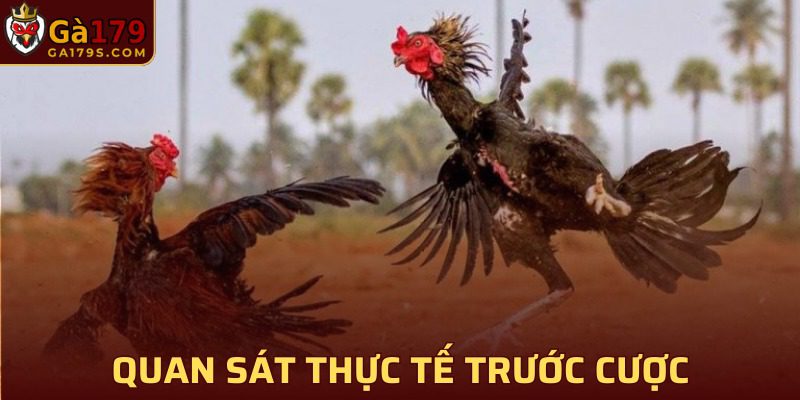 Linh hoạt quan sát tình hình thực tế