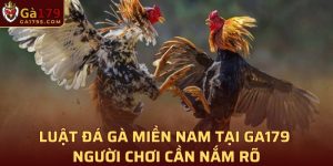 Luật đá gà miền nam