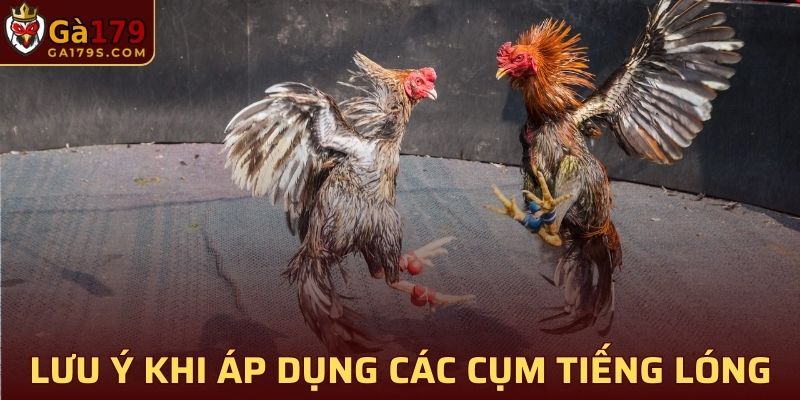 Lưu ý khi áp dụng các cụm từ tiếng lóng trong giao tiếp