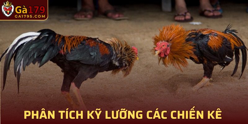 Phân tích chiến binh để dễ dàng nắm bắt