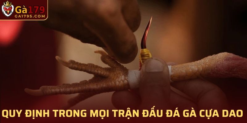 Quy định bạn cần nắm trong mọi trận đấu đá gà cựa dao