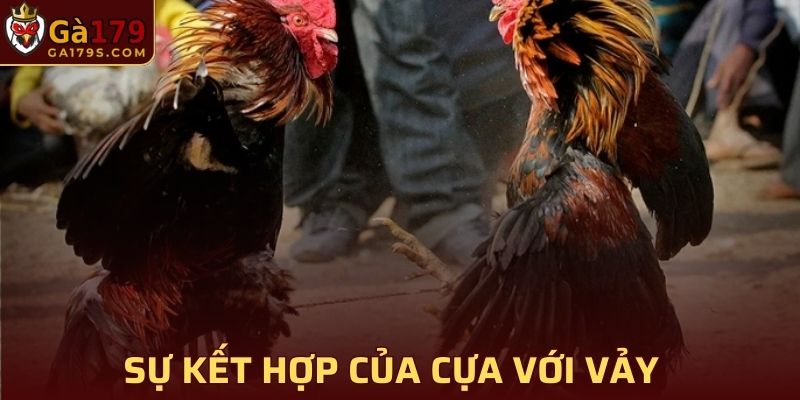 Sự kết hợp của cựa chỉ địa với vảy huyền châm