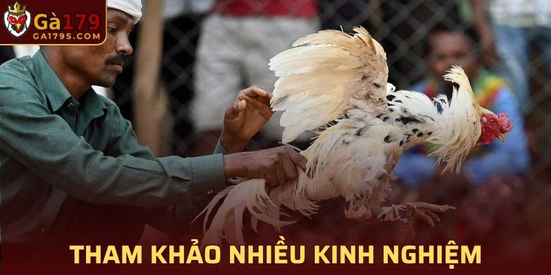 Tham khảo càng nhiều kinh nghiệm cơ hội thắng tại GA179 càng cao