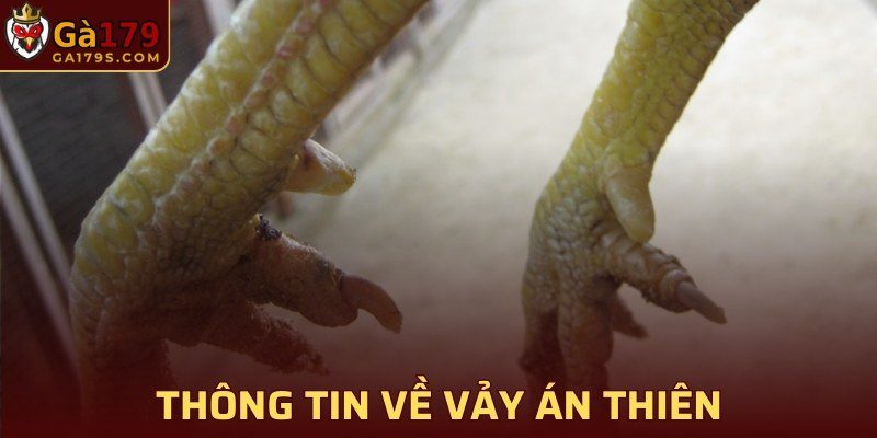 Tổng hợp thông tin về vảy Án Thiên