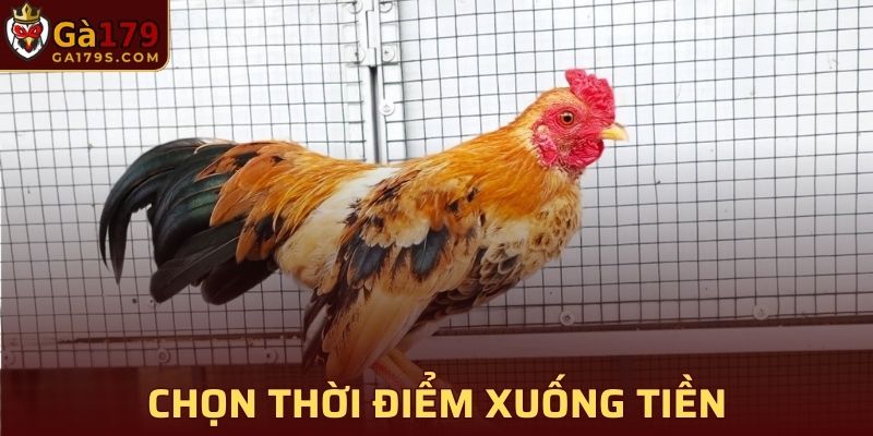 Xác định thời điểm xuống tiền cược